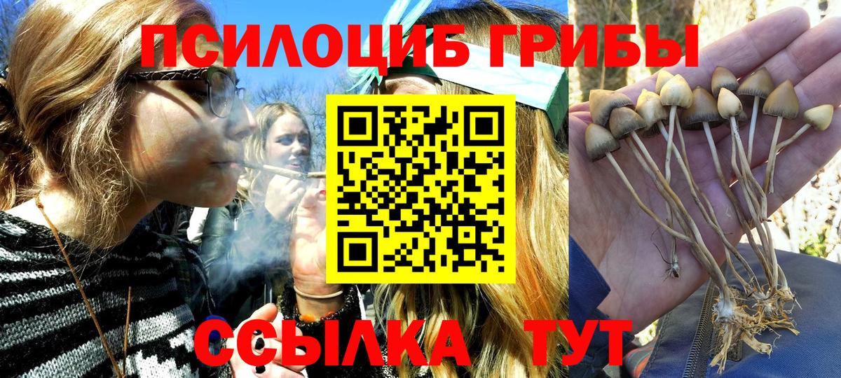 Псилоцибиновые грибы мицелий  Ижевск  наркота  Псилоцибиновые грибы мухоморы 