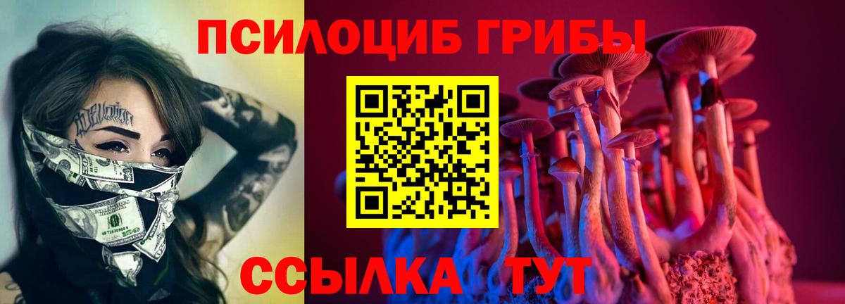 Псилоцибиновые грибы ЛСД Ижевск